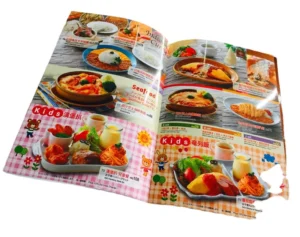 Custom Cardboard Catalogue Booklet Flyer Poster Offset Printing