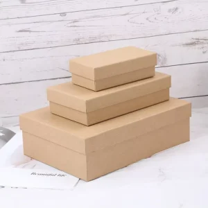 Custom Carton Shipping Box With Lid for Gifts Jewelry Cosmetics Shoes and Clothing