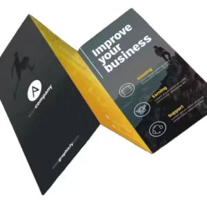 Custom Catalog, Flyer and Brochure Booklet Printing with Paperboard, Gold Foil Stamping and Matte Art Paper