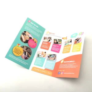 Custom Coated Art Paper Offset Printed Brochure Flyer Picture Book 3-Fold 4-Fold 6-Fold