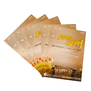 Custom Color A4 Gloss Coated Offset Printed Art Fancy Paper Business Brochure Folded Leaflet