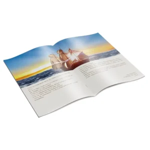 Custom Color Printed Magazine Luxury Book Catalogue and Booklet
