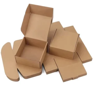 Custom Corrugated Cardboard Mailer Box for E-Commerce Shipping