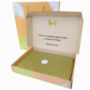 Custom Corrugated Cardboard Paper Gift Box