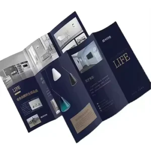 Custom Courier Pamphlets A3 A4 A6 Digital Poster Leaflet Brochure Anime Poster