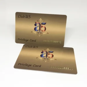Custom Credit Card-Size Plastic Business Cards with Embossed Number Overlay