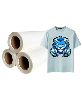 Custom DTF Heat Transfer Printed Stickers Press-On Clothing Design for T-Shirts Plastisol PET Material