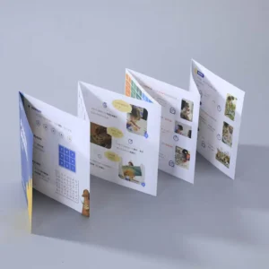Custom Design Folder, Flyer, Leaflet, Brochure, Book & Postcard Printing