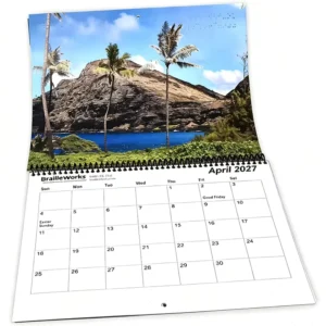 Custom Design Large Size Film CMYK Color Colorful Spiral Binding Wire O Binding Printed Wall Calendar Print Printing