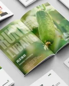 Custom Design Offset Paper Hard Cover Brochures Enterprise & Company Employee Manuals with Offset Printing on Paperboard