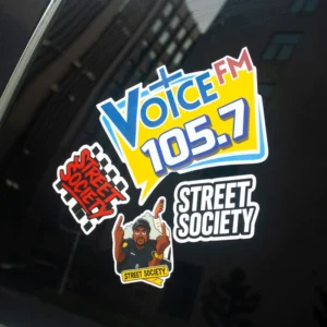 Custom Die-Cut Adhesive Logo Waterproof Vinyl Car Stickers