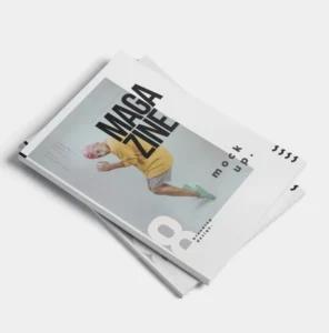 Custom Digital Printed Paper Advertisement Brochure