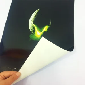 Custom Digital Printing Adhesive Bond Paper Wall Poster