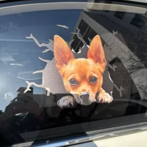 Custom Dog Cat Anime Animal Vinyl Window Decal Car Stickers Auto Window Business Sticker for Car Window