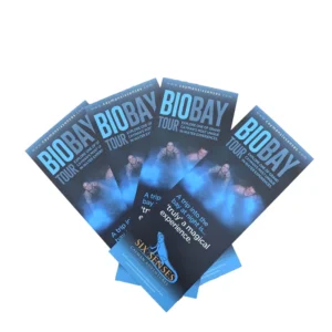 Custom Double-Sided Offset-Printed Tri-Fold Travel Leaflet Poster on Art Paper