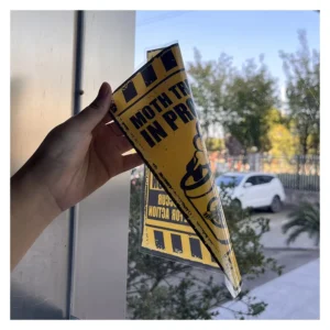 Custom Double-Sided Reverse-Printed Static Cling Vinyl Car Window Decals