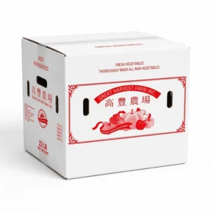 Custom Eco-Friendly Recyclable Waterproof Fire-Proof Premium Cardboard Box Packaging Custom Printed Boxes