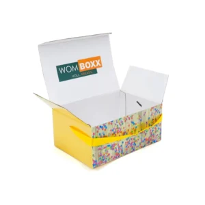 Custom Fashion Shipping Paper Box with Handle
