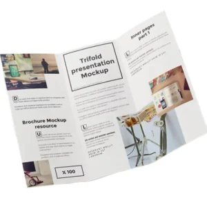 Custom Full-Color Folding Paper Flyers and Brochures