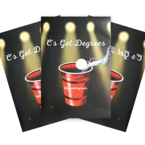 Custom Full Color Matte Coated Paper Wall Poster Printing