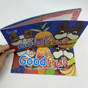 Custom Full Color Paper Softcover Booklet Brochure Catalogue Magazine Printing Carton Box OEM Offset Printing