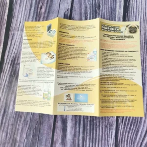 Custom Full Color Printing Leaflet Pamphlet Booklet Brochure Flyer