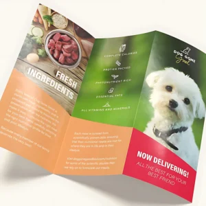 Custom Glossy Paper Flyer and Pamphlet Printing Service