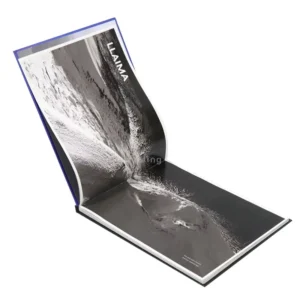 Custom Hardcover Photo Album, Offset Printing, Landscape Coffee Table Book