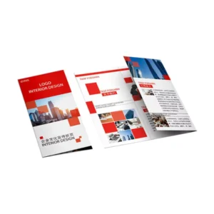 Custom Instruction Manual, Promotional Folded Flyer, Leaflet, and Brochure Printing