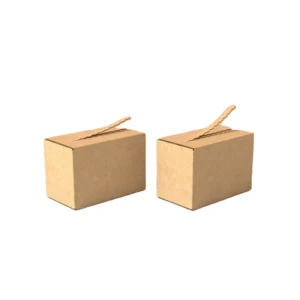 Custom Kraft Paper Gift Box, Folding Corrugated Airplane Box with Tear-Away Strip and Filter