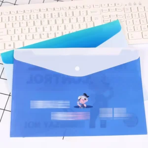 Custom Letter-Size Clear Plastic File Folders with Pockets for Office and School