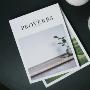 Custom Logo Booklet, Catalog, Brochure, Magazine Printing