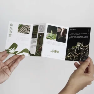 Custom Logo CMYK Printing Catalog Service 4 Fold Flyer A4 A5 A6 Fold Instructions Coated Paper Folding Leaflet Brochure