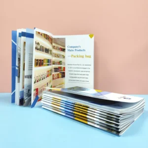 Custom Logo Cardboard Corrugated Board Booklet Brochure Magazine Flyer Leaflet Catalogue Custom Size