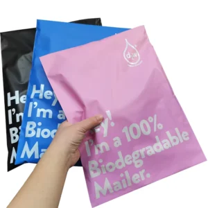 Custom Logo Clothing Packaging Poly Mailer Bag, Adhesive Shipping Envelope