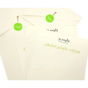 Custom Logo Paper Letter Envelopes Custom Size and Color for Mailing Packaging