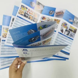 Custom Logo Printed Flyer, Brochure, and Catalogue with Cardboard Paper and Color Offset Printing Service