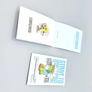 Custom Logo Printed Full Color Offset Printed Film Laminated Leaflet Folder Coated Cardboard Booklet User Manual Offset Paper