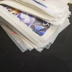 Custom Logo Ready-to-Press DTF Transfers on PET Film for Apparel
