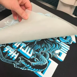 Custom Logo Vinyl Plastisol DTF Heat Transfer Labels, Ready-to-Press T-Shirt Transfers