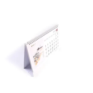 Custom Monthly Wall Calendar Full Color CMYK Desk and Advent Calendar 365 Days Paper Printing