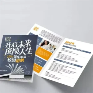 Custom Offset Paper Flyer Printing Glossy Coated Foldable Two/Fold Three/Four Page Professional Brochure Menu Booklet Flyers