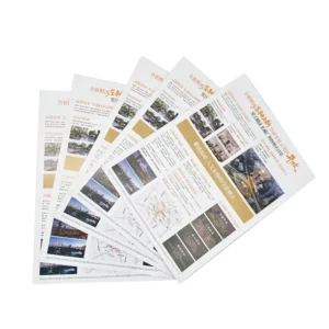 Custom Offset Printing Factory Business Flyers Product Catalogs Brochures Menu Books Large Posters Single Page Art Paper