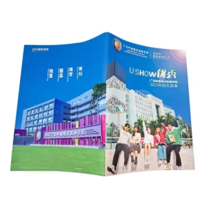 Custom Offset Printing Service for Flyers, Brochures, Catalogs, Menus, and Instruction Manuals with Art Paper