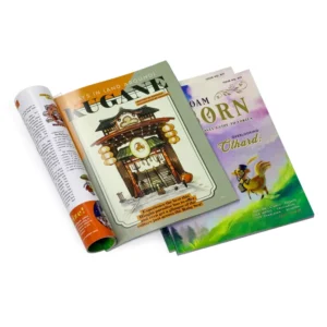 Custom Pantone Color Product Catalog Brochure, Offset Paper Booklet