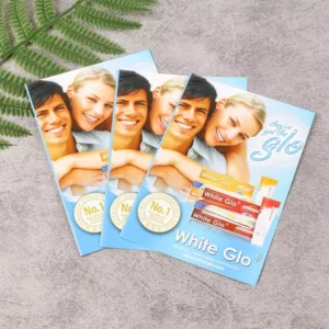 Custom Paper Flyer Booklet Brochure Catalog Menu and Instruction Manual Printing