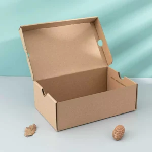 Custom Paper Packaging Boxes for Shipping Shoes