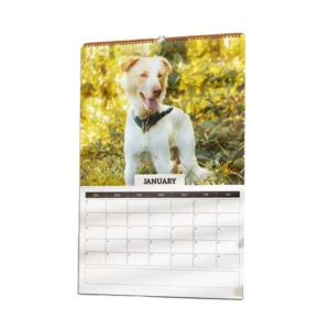 Custom Pet Wall Calendar Personalized Dog Cat Picture Calendar Desk Calendar for Promotion Gift