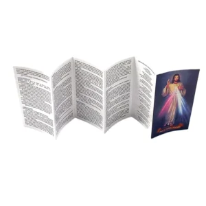 Custom Portable Brochure Printed Booklet From China Manufacturer