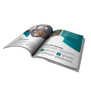 Custom Premium Cardboard Corrugated Board Logo Printing Folding Flyer Catalog Pamphlet Brochure Bulk Digital Printing Customized
